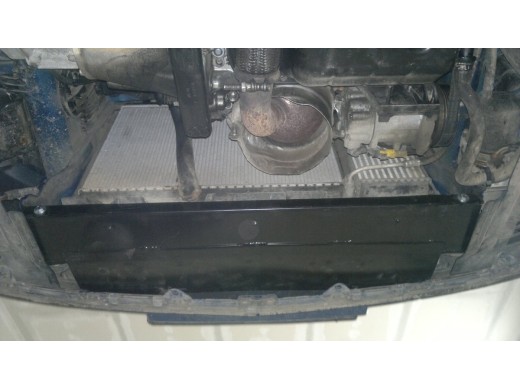 Ocelový kryt motoru Peugeot 307 (2001-2008)Peugeot 307