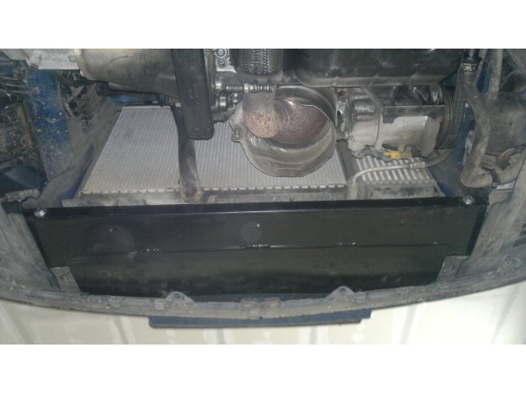 Ocelový kryt motoru Peugeot 307 (2001-2008)Peugeot 307